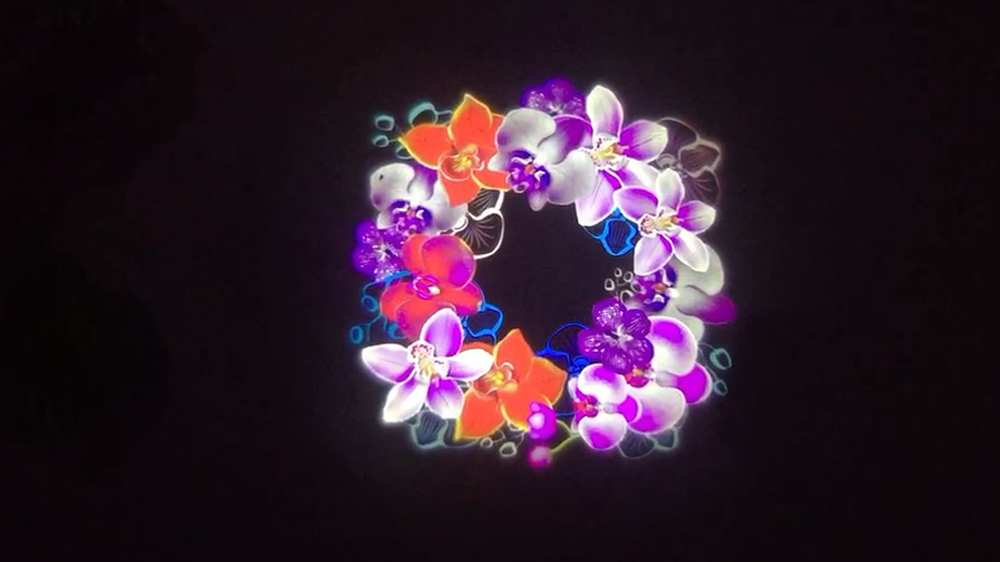 3D靜態(tài)圖像投影秀