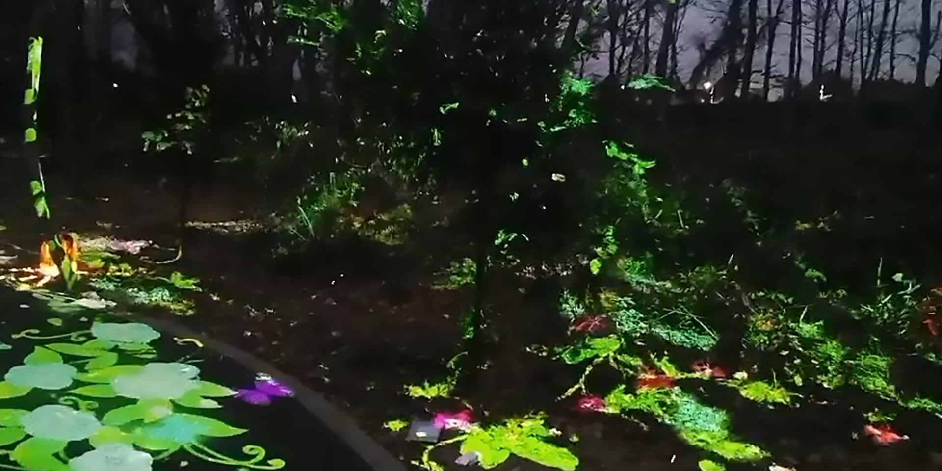 浙江臺(tái)州仙居