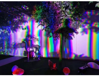 雷色印象空間展廳