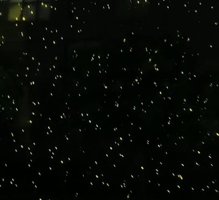 熱烈歡迎廣東職業(yè)技術(shù)學(xué)院光環(huán)境產(chǎn)業(yè)學(xué)院一行到雷色光電參觀學(xué)習(xí)！(圖9)