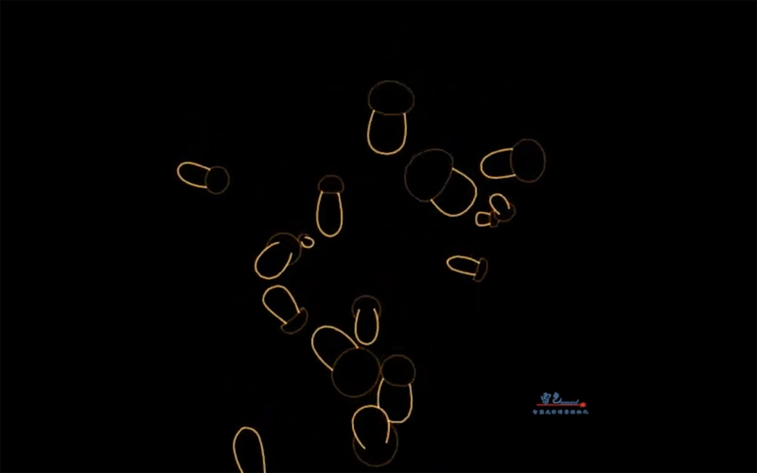 雷色光電 | 影像·動(dòng)漫光雕秀(圖18) 雷色光電 | 影像·動(dòng)漫光雕秀(圖18)