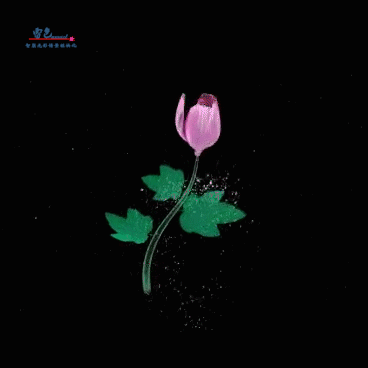 雷色光電丨智聯(lián)視頻投影燈帶來全新體驗！(圖5)