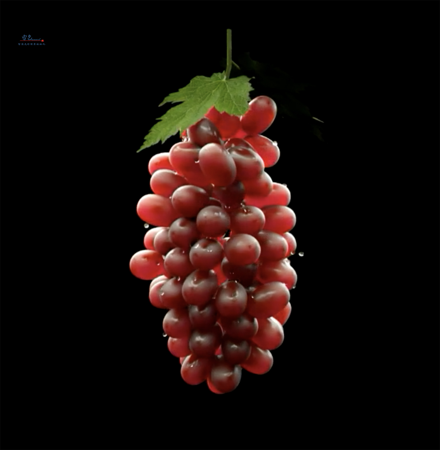 雷色光電丨智聯(lián)視頻投影燈帶來全新體驗！(圖15)