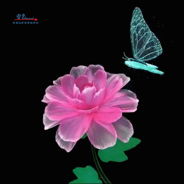 雷色光電全新系列亮化科技產(chǎn)品介紹(圖30) 雷色光電全新系列亮化科技產(chǎn)品介紹(圖30)