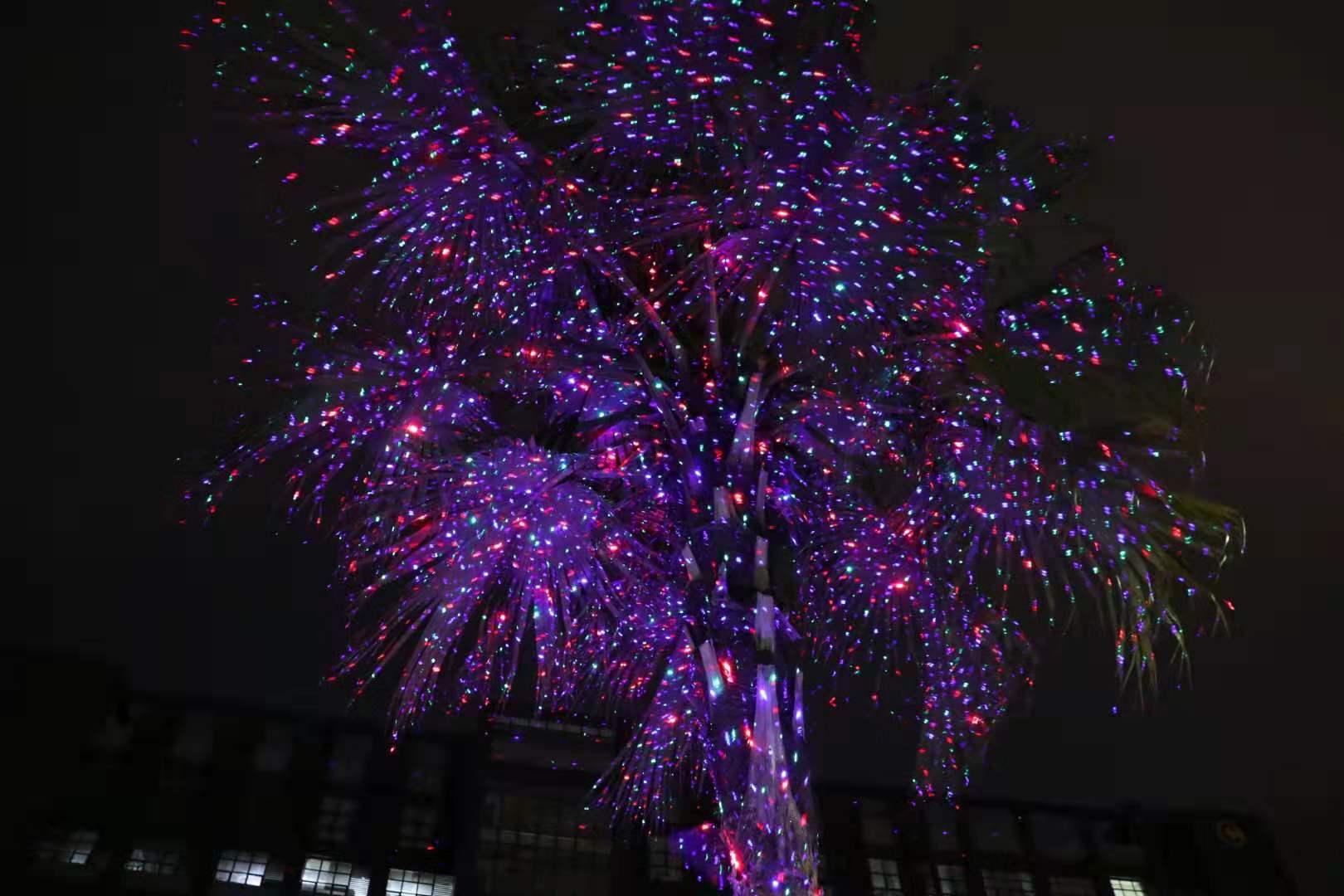 雷色光電全新系列亮化科技產(chǎn)品介紹(圖56) 雷色光電全新系列亮化科技產(chǎn)品介紹(圖56)