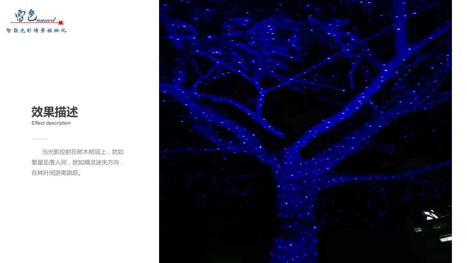 彩色夢(mèng)幻(圖4)