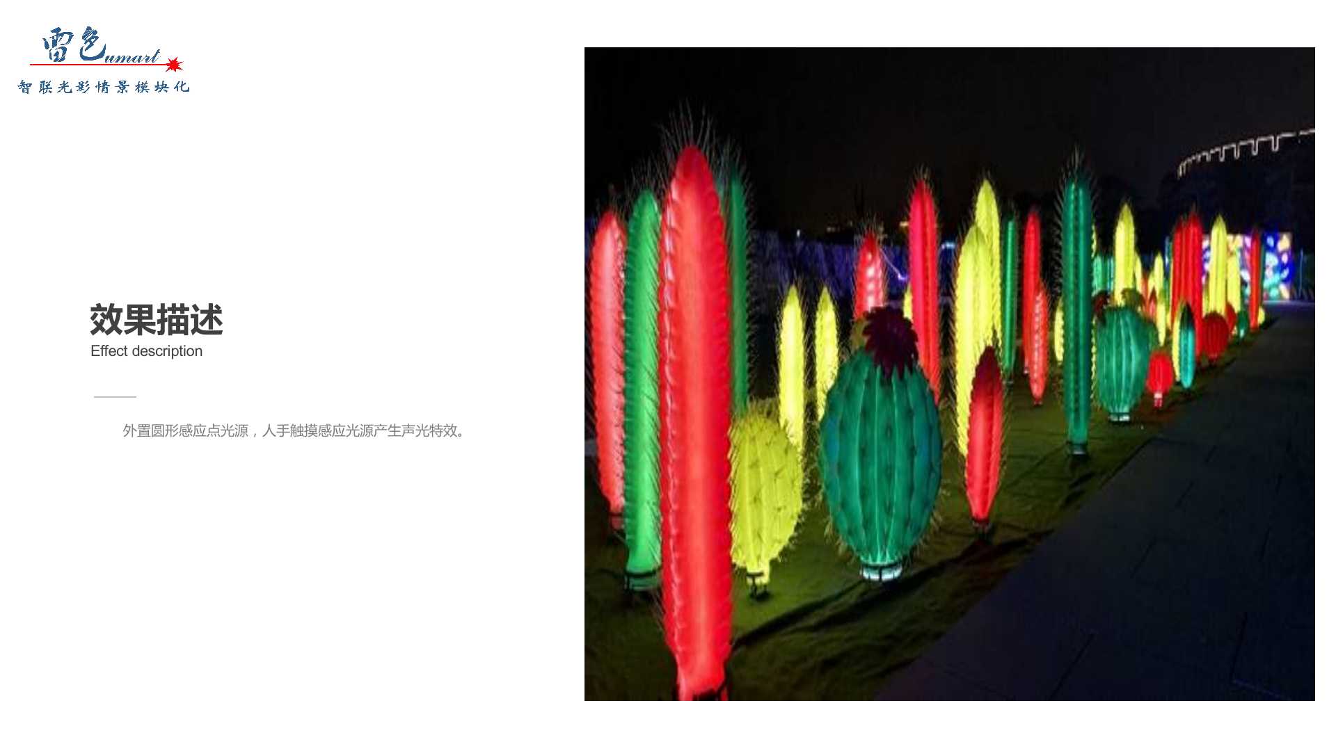 仙人球陣列(圖4)