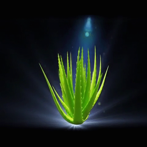 雷色光電助力州來(lái)地產(chǎn):筑夢(mèng)燈火萬(wàn)家，同慶盛世中華!(圖10)