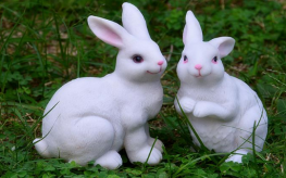 雷色光電|助力歡樂(lè)海岸灣區(qū)亮化工程(圖11) 雷色光電|助力歡樂(lè)海岸灣區(qū)亮化工程(圖11)