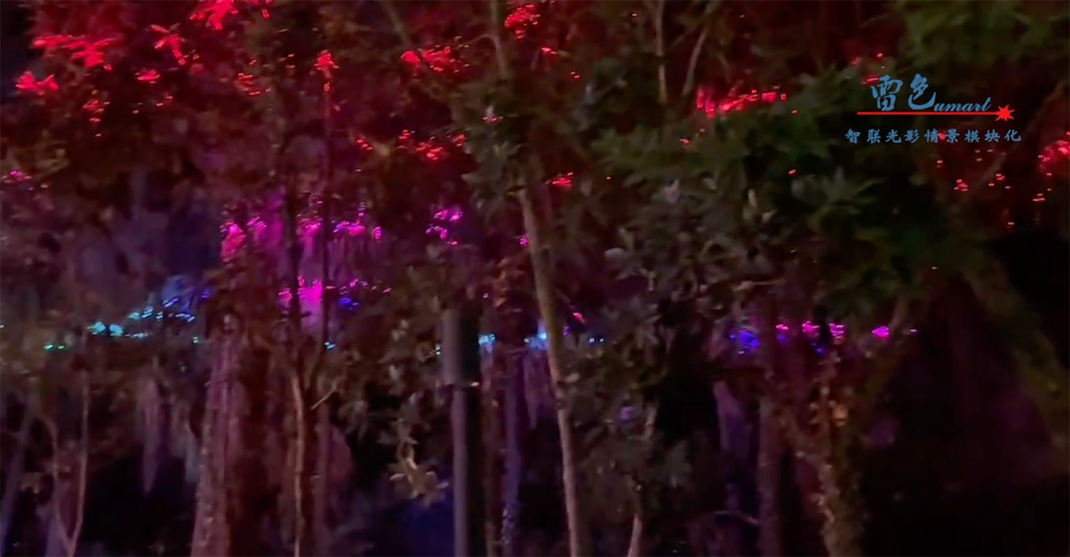 雷色光電|助力歡樂(lè)海岸灣區(qū)亮化工程(圖14) 雷色光電|助力歡樂(lè)海岸灣區(qū)亮化工程(圖14)