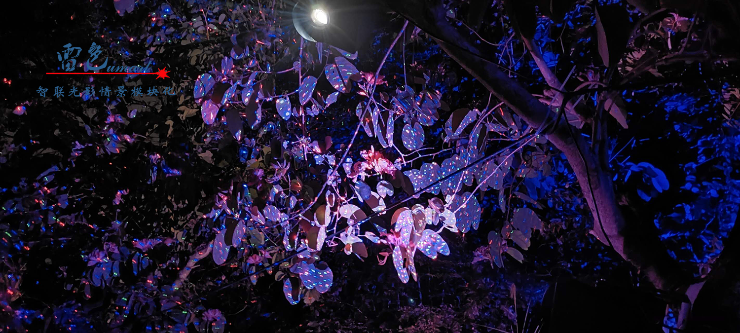 雷色光電打造《夢(mèng)境光語(yǔ)》夜場(chǎng)燈光秀震撼來(lái)襲！(圖36)