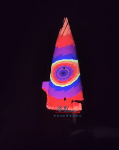 光影交織，夢想啟航——雷色光電2023光影年鑒與2024夢幻前瞻！(圖17)