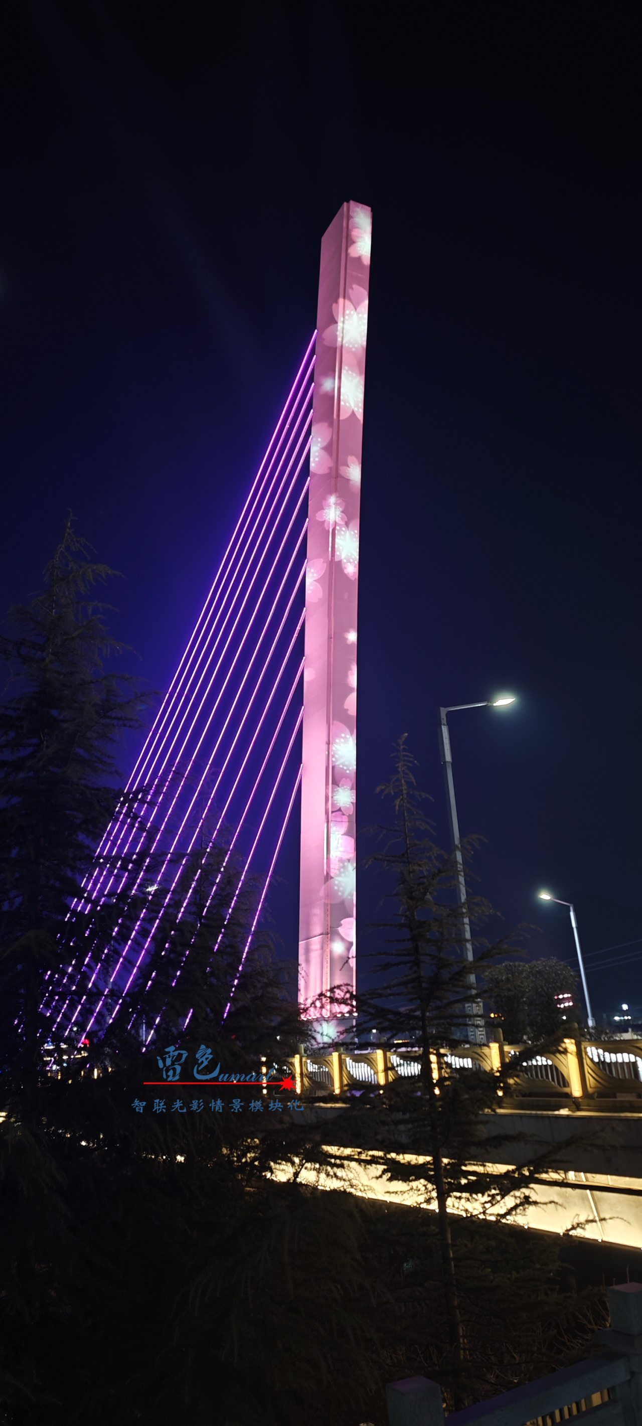 光影交織，夢想啟航——雷色光電2023光影年鑒與2024夢幻前瞻！(圖42)